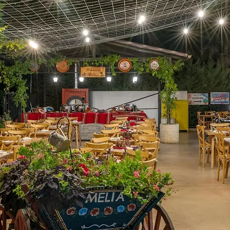 Melia Grand Hermitage Golden Sands